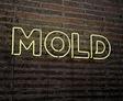 Neon sign displaying the word "MOLD" on a brick wall background.