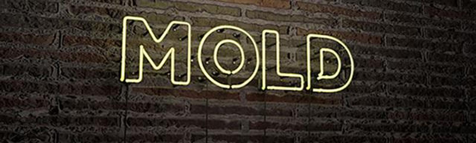 Neon sign displaying the word "MOLD" on a brick wall background.