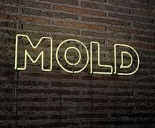 Neon sign displaying the word "MOLD" on a brick wall background.