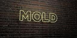 Neon sign displaying the word "MOLD" on a brick wall background.