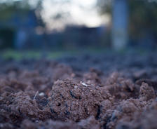 expansive clay soil