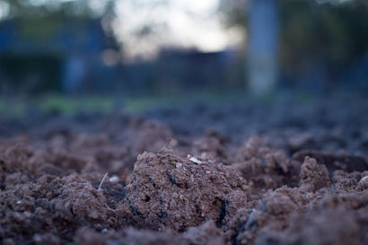 expansive clay soil