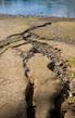 Soil erosion close-up