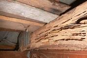 termite damage in wood joist in crawl space
