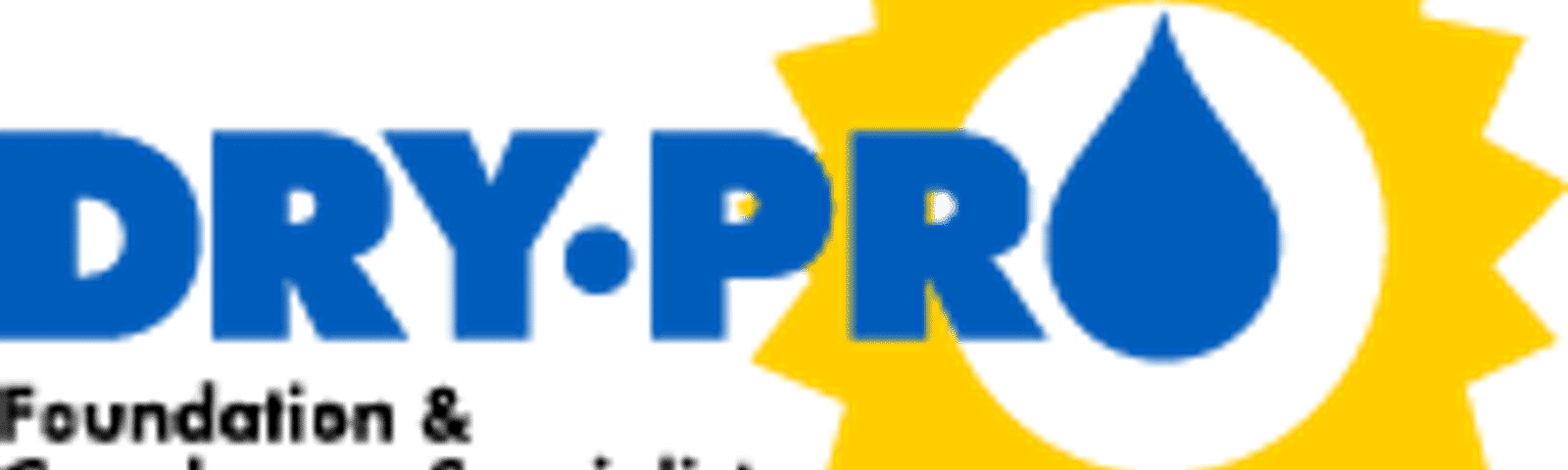 Dr Pro Foundation & Crawlspace Specialists Logo