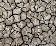 dry and shrinking soil