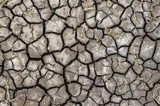 dry and shrinking soil