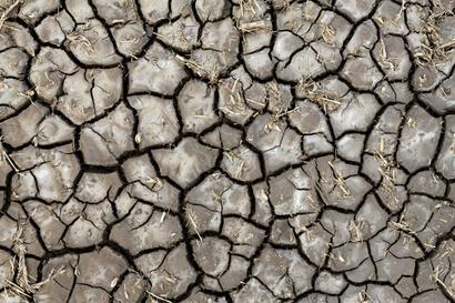 dry and shrinking soil