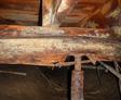 Moldy and compromised floor joist