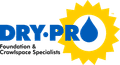 Dry Pro logo