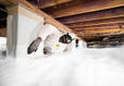 crawl space encapsulation installation