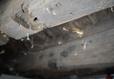Pests in crawl space