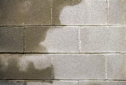 Wet cinder block concrete wall in basement