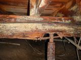 Mold in crawl space with rotten floor joists and rusty floor jack