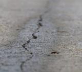 Cracked concrete close up