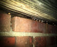 Condensation on crawl space joist