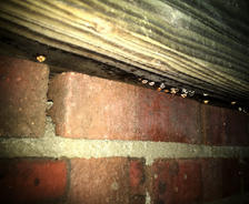 Condensation on crawl space joist
