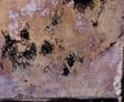 Mold on insullation