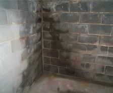 Wet concrete basement wall