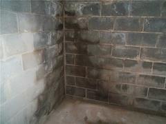 Wet concrete basement wall