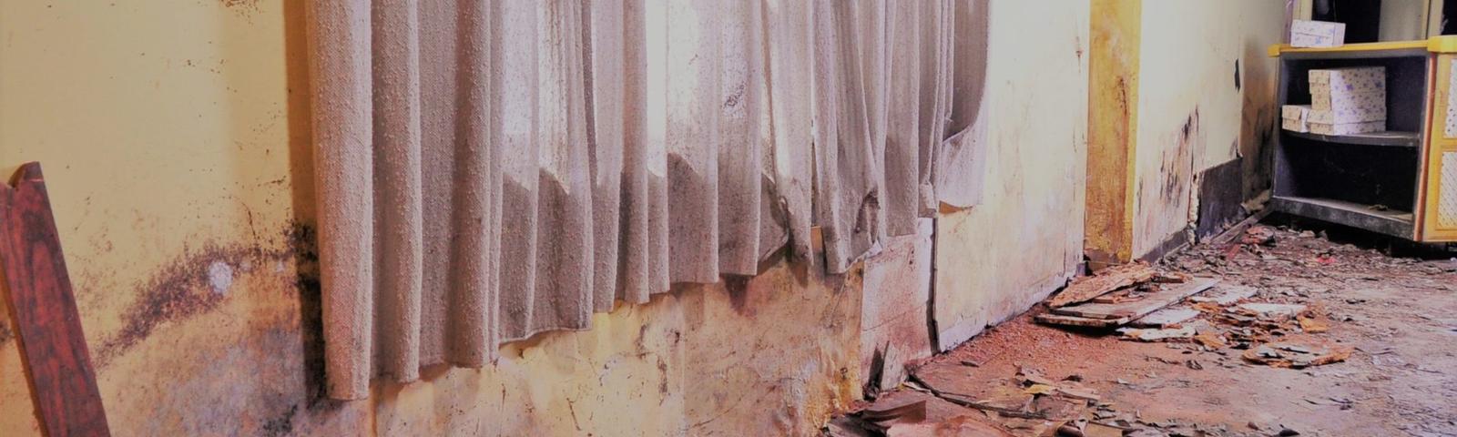 Wet basement with moldy walls