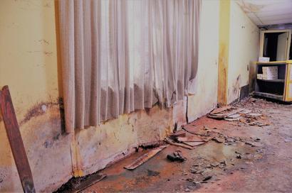 Wet basement with moldy walls