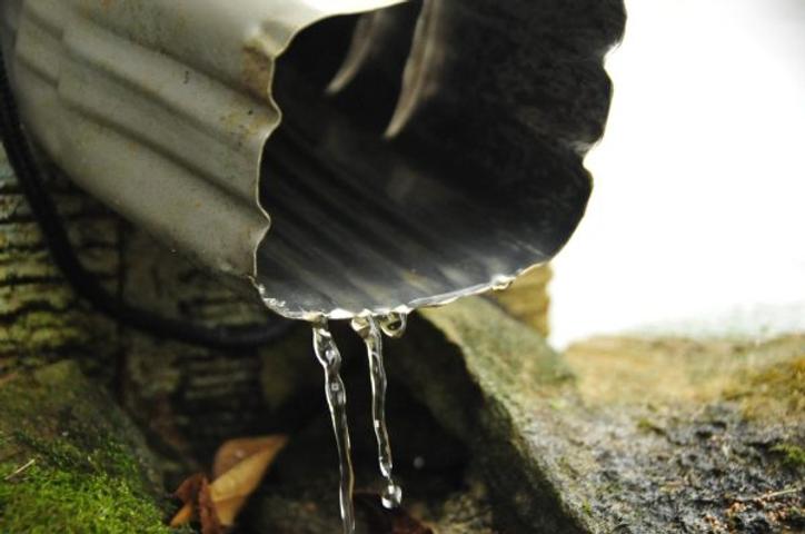 Water flowing from a gutter downspout