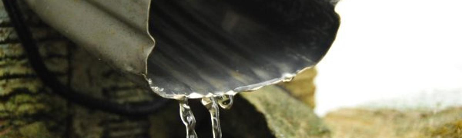 Water flowing from a gutter downspout