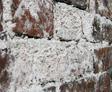 Efflorescence on wall