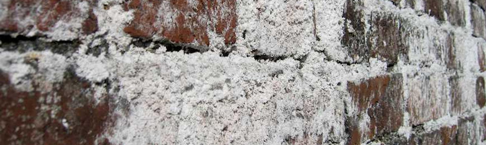 Efflorescence on wall