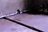 Gap in concrete garage floor