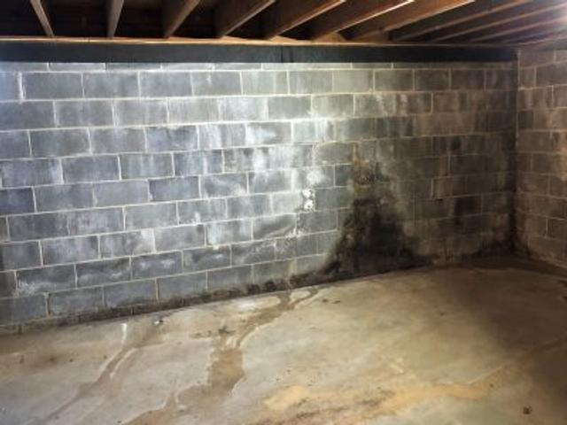Wet basement with stain marks on wall