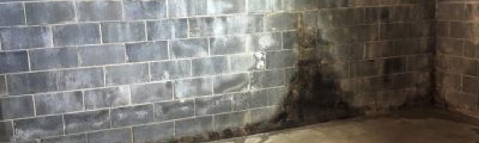 Wet basement with stain marks on wall