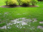 pooled water in yard