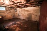 Dimly lit, unfinished basement with exposed pipes, concrete floor, and stained, peeling walls.