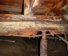 Mold in crawl space with rotten floor joists and rusty floor jack
