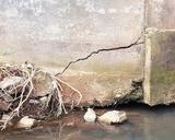 crack on corner of foundation
