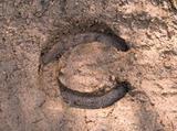 wet compacted soil