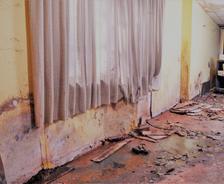 A damaged room with peeling walls, broken floorboards, and debris scattered across the floor hints at lingering basement humidity.
