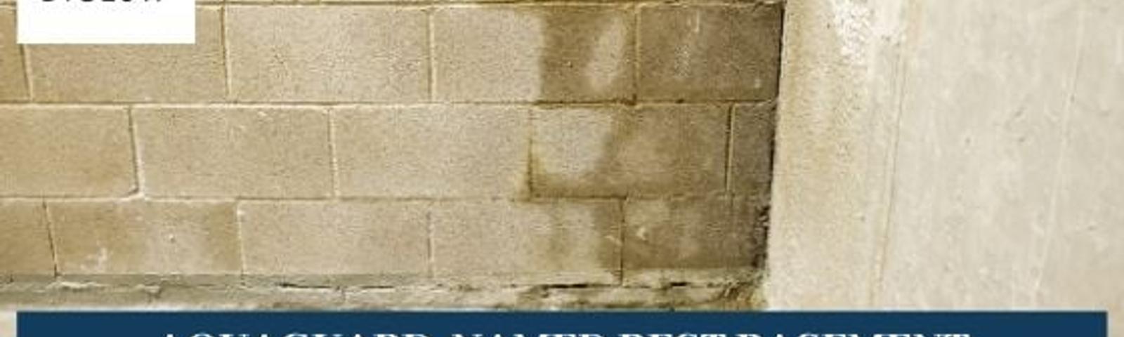 Wet basement wall. AquaGuard named best basement waterproofing contractor in GA according to HomeBuilderDigest.com