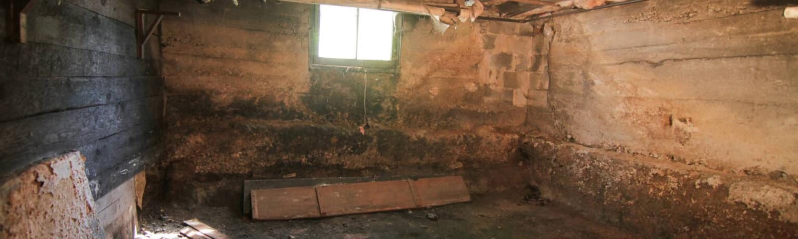 Wet basement with mold and damp insulation