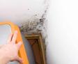 White interior basement walls with mold in the corner