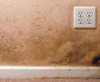 Mold on the walls and baseboard trim in the basement of a home from water leaking.