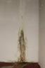 Vertical crack in basement wall with water damage