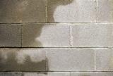 Wet cinder block concrete wall in basement