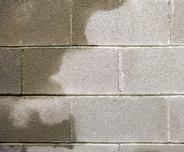 Wet cinder block concrete wall in basement