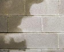 Wet cinder block concrete wall in basement