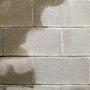 Wet cinder block concrete wall in basement