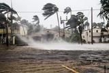 Flooded street with strong winds bending palm trees and water rushing past houses during a severe storm.
