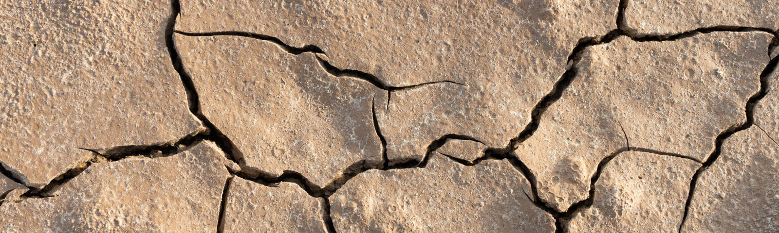 Cracked dry earth texture with various patterns and shades of brown.
